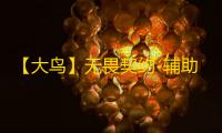 【大鸟】无畏契约-辅助